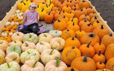 Pumpkin Sale Proceeds to Cancer Care at BTHC